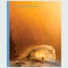 Literature*Finisterre Surfers Journal, Issue 30.3